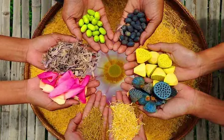 Un groupe de mains tenant un bol de différentes sortes de graines.