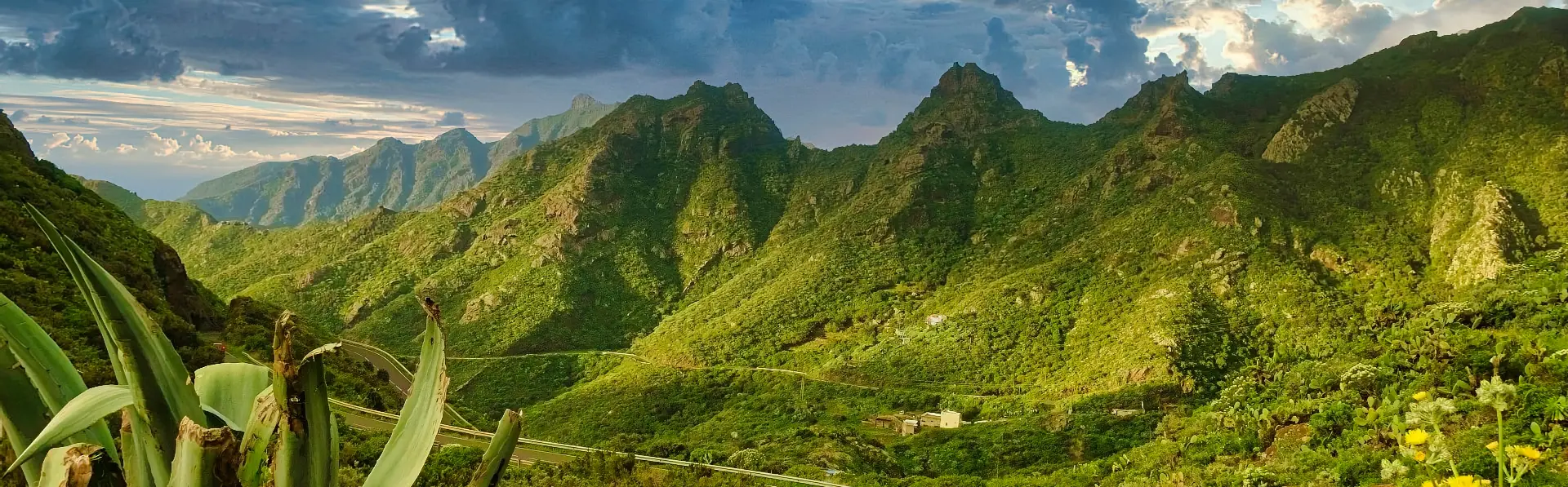 le-parc-rural-d-anaga-tenerife