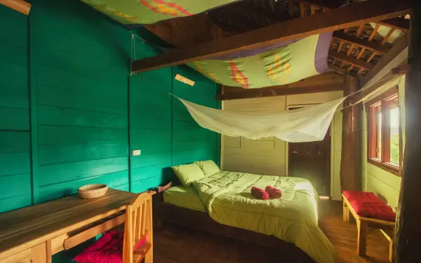 la forest house de ECC